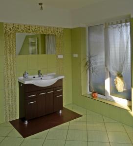 a bathroom with a sink and a mirror and a window at Agroturystyka Sominy Piotr in Sominy