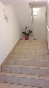 a stairwell with a potted plant on it at Guesthouse Ivan in Skradin