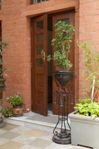 a plant in a pot in front of a door at The Ivy House in Kolkata