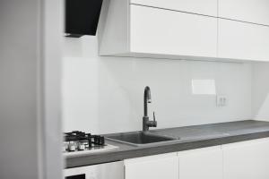 Küche/Küchenzeile in der Unterkunft Apartman Kresan