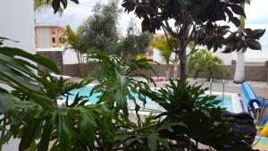 Bazén v ubytování Exclusive Villa in Bahia del Duque nebo v jeho okolí