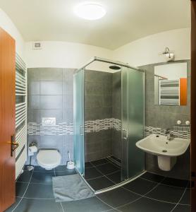 a bathroom with a shower and a sink and a toilet at Penzion Harley Pub in Otrokovice