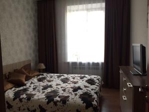 ピャチゴルスクにあるApartment on Kraynego 45のベッドルーム(ベッド1台、テレビ、窓付)