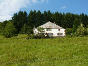 a house in the middle of a field at Charming holiday home near the ski slopes in Vagney