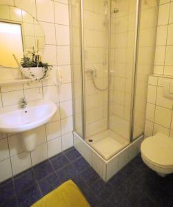 コブレンツにあるBoardinghaus Hähnのバスルーム(シャワー、トイレ、シンク付)