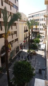 a city street with palm trees and buildings at Da Mary Guest House in Palermo