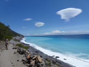 a person standing on a beach with a bird flying overhead at Calypso in Agia Roumeli