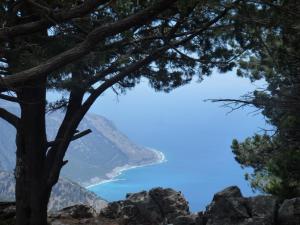 a view of crater lake from the top of a tree at Calypso in Agia Roumeli
