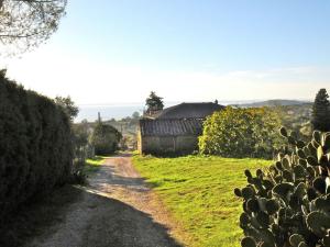 un chemin de terre à côté d'un champ avec une maison dans l'établissement Belvilla by OYO Nespolo Due, à San Savino