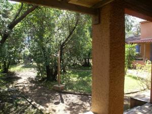 an outside view of a yard with trees at Beautiful holiday home near the beach in Santa-Lucia-di-Moriani