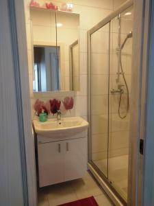 La salle de bains est pourvue d'un lavabo et d'une douche. dans l'établissement Apartamentai Gertrūda, à Druskininkai