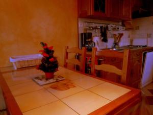 a kitchen with a table with a plant on it at Cozy Cottage in Vaires sur Marne with Garden in Chelles