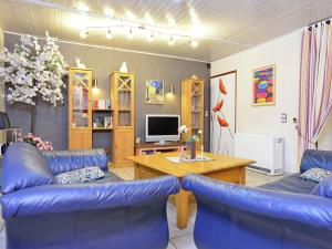 バート・ピルモントにあるWooden Apartment in L wensen Lower Saxony with Terraceのリビングルーム(青いソファ、テレビ付)
