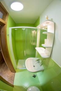 克拉尼斯卡戈拉A Million Dollar View的绿色浴室设有水槽和淋浴