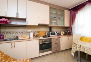 Kuchyň nebo kuchyňský kout v ubytování Avama view apartments