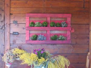 Gallery image of The lake chalet in Bracciano +27 photos