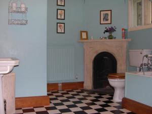 a bathroom with a fireplace with a toilet and a sink at Lullington House in Frome