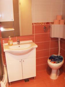 uma casa de banho com um lavatório e um WC em Apartment Marjana em Podgora