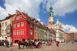 a horse drawn carriage on a city street with buildings at Black&White Apartment- Wierzbowa 5 in Poznań