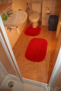 a bathroom with a toilet and a sink and a red rug at Chebsky dvur - Egerlander Hof in Karlovy Vary