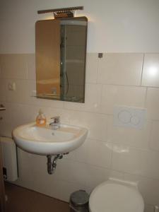 a bathroom with a sink and a toilet at Ferienhaus Mack in Wernigerode +5 photos