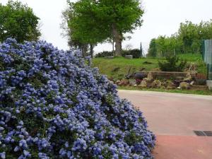 Ogród w obiekcie Camping & Bungalows Leagi