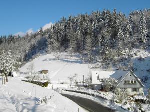 Pretty Apartment in Oppenau near Black Forest National Park durante o inverno