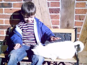 un jeune garçon assis sur un banc pétant un chat blanc dans l'établissement Apartment in farm on the edge of the L neburg, à Langlingen