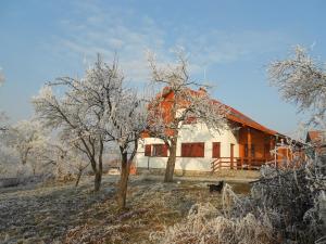 a house with an orange roof with trees in front at Eszter Guesthouse in Sîncrăieni