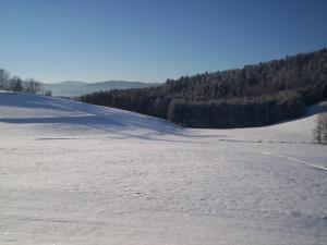 Holiday home in Rattersberg Bavaria with terrace during the winter