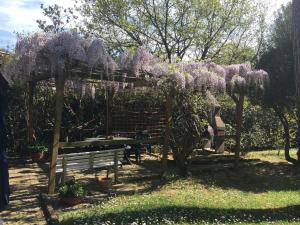 a pergola with wisterias hanging over a park bench at Old Town in the green: Federico's apartment. in Florence