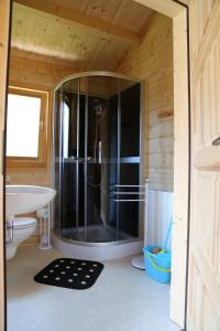 ein Bad mit einer Dusche und einem Waschbecken in der Unterkunft Ferienpark Seeblick in Großkoschen