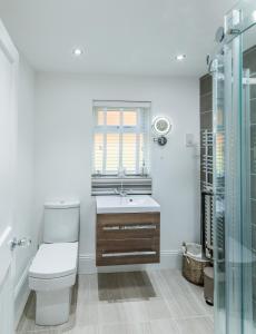 a bathroom with a toilet and a sink and a window at Firlands Lodge in Forres