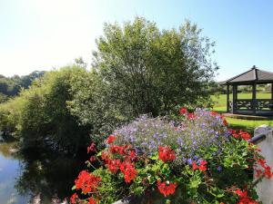 A garden outside Escape with Bubble Bath