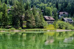 un grande bacino d'acqua con case e alberi di A Million Dollar View a Kranjska Gora
