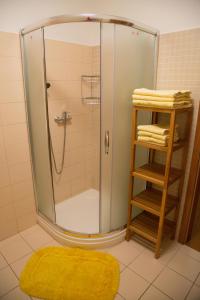 uma casa de banho com um chuveiro e um tapete amarelo em Penzion U Rudolfů em Vlasenice