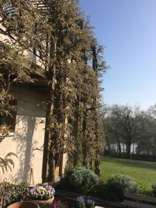 Aed väljaspool majutusasutust Le Jardin Des Sources