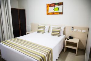 a hotel room with a bed and a picture on the wall at Hotel Barrocos in Goiatuba