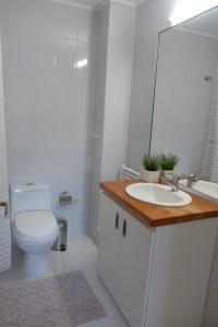 a bathroom with a toilet and a sink and a mirror at Edificio Guadalauquen in Valdivia