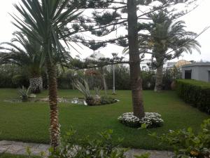 Zahrada ubytování Hotel Roca