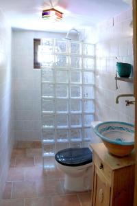 a bathroom with a sink and a toilet and glass shelves at Casa Escondida in Albuñuelas