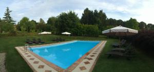 einen Pool mit Stühlen und einem Sonnenschirm in der Unterkunft Agriturismo Poggio Salvi in Sovicille