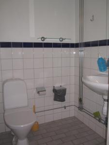 La salle de bains est pourvue de toilettes et d'un lavabo. dans l'établissement Kalkpatronsgården Borgvik, à Katthammarsvik