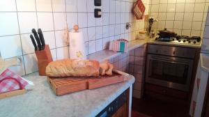 Kuchyň nebo kuchyňský kout v ubytování Casa Al Chianti B&B