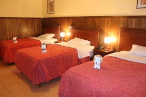 Afbeelding uit fotogalerij van Hotel El Tumi 2 in Huaraz