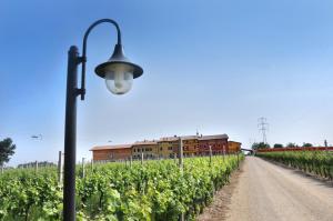 Vonkajšia záhrada v ubytovaní Agriturismo dei Grippi