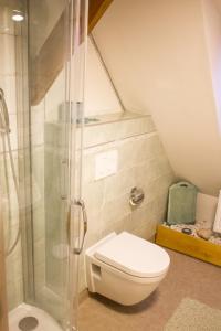 a bathroom with a toilet and a shower at Růžová chalupa u Šimánků in Rtyně v Podkrkonoší