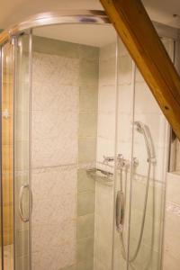 a shower with a glass door in a bathroom at Růžová chalupa u Šimánků in Rtyně v Podkrkonoší