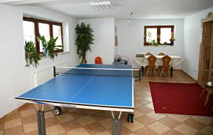 a blue ping pong table in a living room at Willa Gorska Koleba in Zakopane