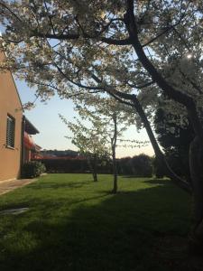 Zahrada ubytování Apartment Leonarda